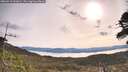 ./images/calvert/fitz-hugh-hecate/20260512/fitz-hugh-hecate20260512_091001M.jpg