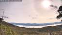 ./images/calvert/fitz-hugh-hecate/20260512/fitz-hugh-hecate20260512_092001M.jpg