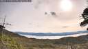 ./images/calvert/fitz-hugh-hecate/20260512/fitz-hugh-hecate20260512_092501M.jpg