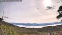 ./images/calvert/fitz-hugh-hecate/20260512/fitz-hugh-hecate20260512_093501M.jpg