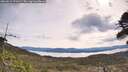 ./images/calvert/fitz-hugh-hecate/20260512/fitz-hugh-hecate20260512_101001M.jpg