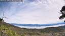 ./images/calvert/fitz-hugh-hecate/20260512/fitz-hugh-hecate20260512_115001M.jpg