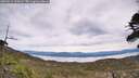 ./images/calvert/fitz-hugh-hecate/20260512/fitz-hugh-hecate20260512_150002M.jpg
