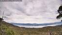 ./images/calvert/fitz-hugh-hecate/20260512/fitz-hugh-hecate20260512_155501M.jpg