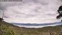./images/calvert/fitz-hugh-hecate/20260512/fitz-hugh-hecate20260512_160501M.jpg
