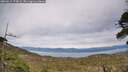 ./images/calvert/fitz-hugh-hecate/20260512/fitz-hugh-hecate20260512_174002M.jpg
