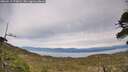./images/calvert/fitz-hugh-hecate/20260512/fitz-hugh-hecate20260512_175002M.jpg