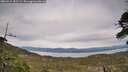 ./images/calvert/fitz-hugh-hecate/20260512/fitz-hugh-hecate20260512_181502M.jpg