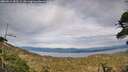 ./images/calvert/fitz-hugh-hecate/20260512/fitz-hugh-hecate20260512_183502M.jpg