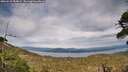 ./images/calvert/fitz-hugh-hecate/20260512/fitz-hugh-hecate20260512_184002M.jpg