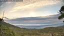 ./images/calvert/fitz-hugh-hecate/20260513/fitz-hugh-hecate20260513_064501M.jpg
