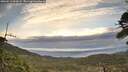 ./images/calvert/fitz-hugh-hecate/20260513/fitz-hugh-hecate20260513_065001M.jpg