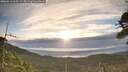 ./images/calvert/fitz-hugh-hecate/20260513/fitz-hugh-hecate20260513_065501M.jpg
