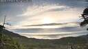 ./images/calvert/fitz-hugh-hecate/20260513/fitz-hugh-hecate20260513_071002M.jpg