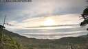 ./images/calvert/fitz-hugh-hecate/20260513/fitz-hugh-hecate20260513_072001M.jpg