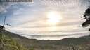 ./images/calvert/fitz-hugh-hecate/20260513/fitz-hugh-hecate20260513_074001M.jpg