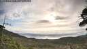 ./images/calvert/fitz-hugh-hecate/20260513/fitz-hugh-hecate20260513_075001M.jpg
