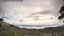 ./images/calvert/fitz-hugh-hecate/20260513/fitz-hugh-hecate20260513_075501M.jpg