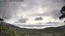 ./images/calvert/fitz-hugh-hecate/20260513/fitz-hugh-hecate20260513_080002M.jpg