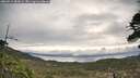 ./images/calvert/fitz-hugh-hecate/20260513/fitz-hugh-hecate20260513_083002M.jpg