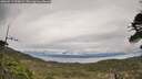 ./images/calvert/fitz-hugh-hecate/20260513/fitz-hugh-hecate20260513_100002M.jpg