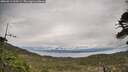 ./images/calvert/fitz-hugh-hecate/20260513/fitz-hugh-hecate20260513_100501M.jpg