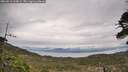 ./images/calvert/fitz-hugh-hecate/20260513/fitz-hugh-hecate20260513_103001M.jpg
