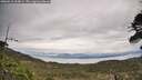 ./images/calvert/fitz-hugh-hecate/20260513/fitz-hugh-hecate20260513_104001M.jpg