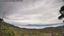 ./images/calvert/fitz-hugh-hecate/20260513/fitz-hugh-hecate20260513_104501M.jpg