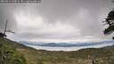 ./images/calvert/fitz-hugh-hecate/20260513/fitz-hugh-hecate20260513_110001M.jpg