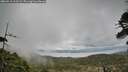 ./images/calvert/fitz-hugh-hecate/20260513/fitz-hugh-hecate20260513_112501M.jpg