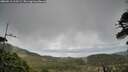 ./images/calvert/fitz-hugh-hecate/20260513/fitz-hugh-hecate20260513_113501M.jpg