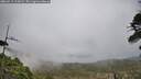 ./images/calvert/fitz-hugh-hecate/20260513/fitz-hugh-hecate20260513_115002M.jpg