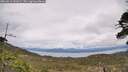 ./images/calvert/fitz-hugh-hecate/20260513/fitz-hugh-hecate20260513_141001M.jpg