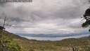 ./images/calvert/fitz-hugh-hecate/20260513/fitz-hugh-hecate20260513_173001M.jpg