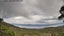 ./images/calvert/fitz-hugh-hecate/20260513/fitz-hugh-hecate20260513_174001M.jpg