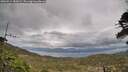 ./images/calvert/fitz-hugh-hecate/20260513/fitz-hugh-hecate20260513_181001M.jpg