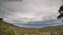 ./images/calvert/fitz-hugh-hecate/20260513/fitz-hugh-hecate20260513_181501M.jpg