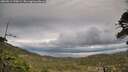 ./images/calvert/fitz-hugh-hecate/20260513/fitz-hugh-hecate20260513_190001M.jpg
