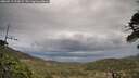 ./images/calvert/fitz-hugh-hecate/20260513/fitz-hugh-hecate20260513_191001M.jpg