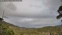 ./images/calvert/fitz-hugh-hecate/20260513/fitz-hugh-hecate20260513_193501M.jpg
