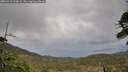 ./images/calvert/fitz-hugh-hecate/20260513/fitz-hugh-hecate20260513_200001M.jpg