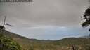 ./images/calvert/fitz-hugh-hecate/20260513/fitz-hugh-hecate20260513_203501M.jpg