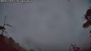 ./images/calvert/fitz-hugh-hecate/20260513/fitz-hugh-hecate20260513_214501M.jpg