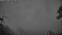 ./images/calvert/fitz-hugh-hecate/20260513/fitz-hugh-hecate20260513_215001M.jpg