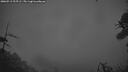 ./images/calvert/fitz-hugh-hecate/20260513/fitz-hugh-hecate20260513_215501M.jpg