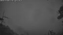 ./images/calvert/fitz-hugh-hecate/20260513/fitz-hugh-hecate20260513_220001M.jpg