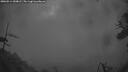 ./images/calvert/fitz-hugh-hecate/20260514/fitz-hugh-hecate20260514_050001M.jpg