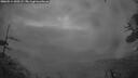 ./images/calvert/fitz-hugh-hecate/20260514/fitz-hugh-hecate20260514_050501M.jpg