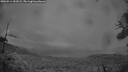 ./images/calvert/fitz-hugh-hecate/20260514/fitz-hugh-hecate20260514_051002M.jpg